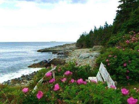 Liverpool Nova Scotia Häuser, Liverpool Nova Scotia Haus kaufen