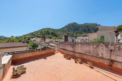 Selva Häuser, Selva Haus kaufen