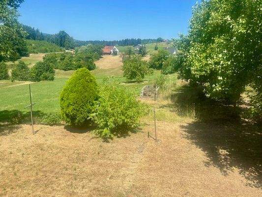 IMG_8894 - Kopie.jpg