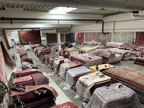 Hamburg Halle, Hamburg Hallenfläche