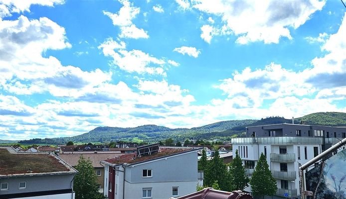 Panoramablick Langenberge