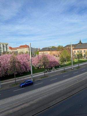 Blick aus dem Schlafzimmer