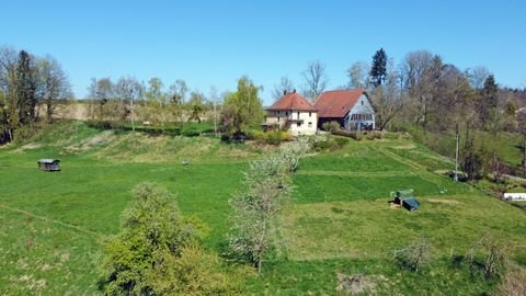 Ravensburg Häuser, Ravensburg Haus kaufen