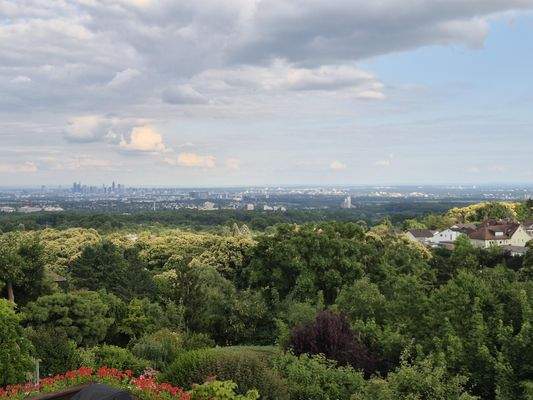 Blick aus dem Dachfenster