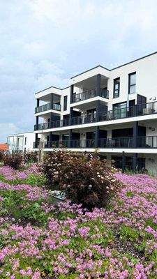 20250603 BUL EF (1).jpg