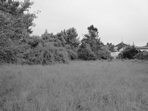 Petershagen/Eggersdorf Grundstücke, Petershagen/Eggersdorf Grundstück kaufen