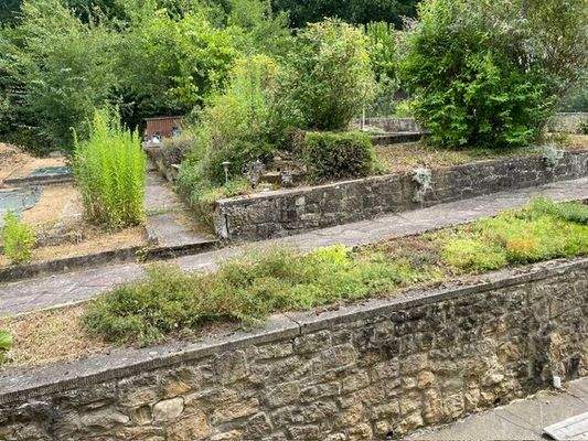 Ausschnitt vom Garten