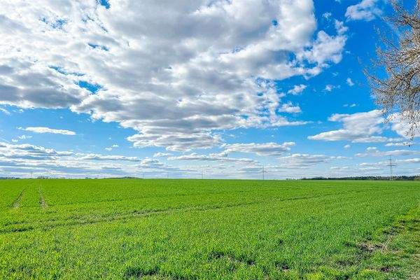 freier Blick aufs angrenzende Feld