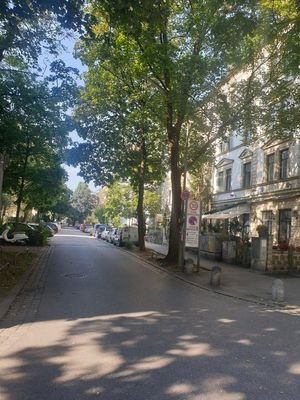 Allee und Vorgärten