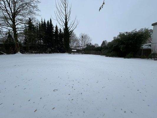 WhatsApp Image 2026-01-12 at 12.36.30 (1)