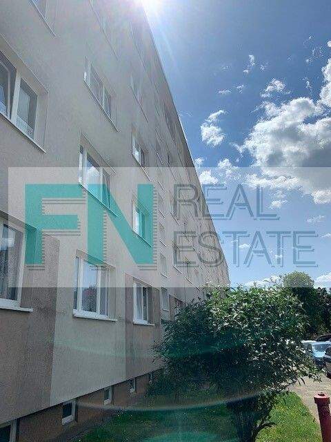 Bad Düben Wohnungen, Bad Düben Wohnung mieten