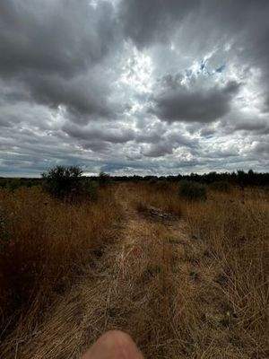 WhatsApp Bild 2025-09-29 um 15.28.33_4e2819cf