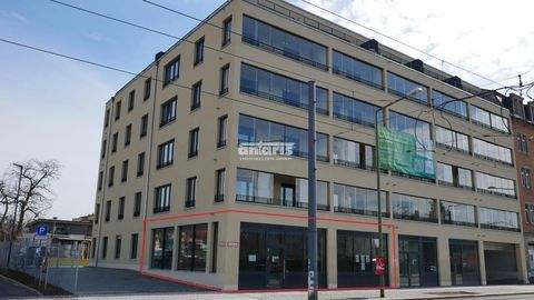 Dresden Ladenlokale, Ladenflächen 