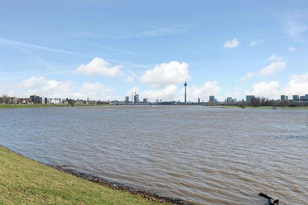 Direkte Nähe zum Rhein