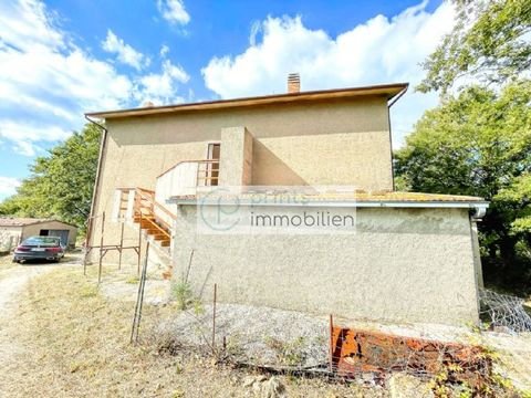 Petricci Häuser, Petricci Haus kaufen
