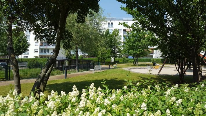 Im Hof ganz viel Grün