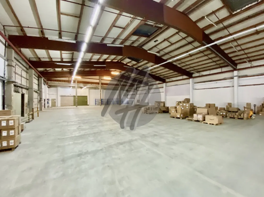 INFOS UNTER: 06171-586000