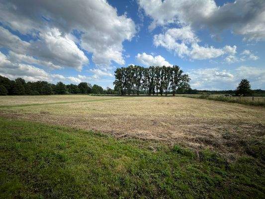 Blick vom Grundstück nach Süden