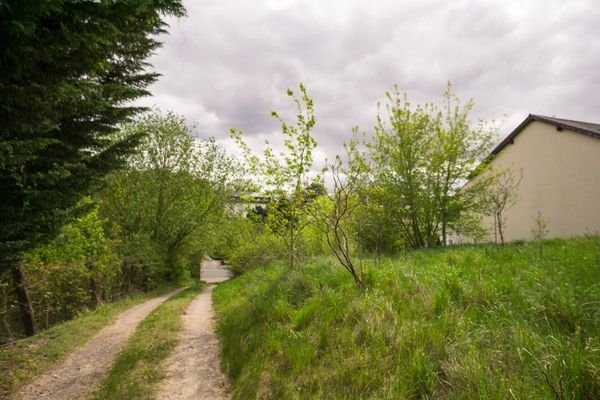 Blick von Grundstücksmitte in Richtung Straße