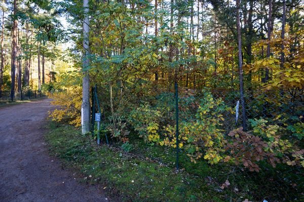 Grundstücksecke Straßenseite