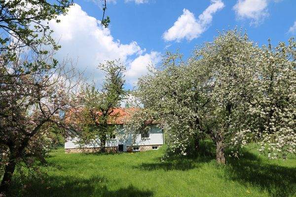 Ostansicht des Hauses/Obstgarten