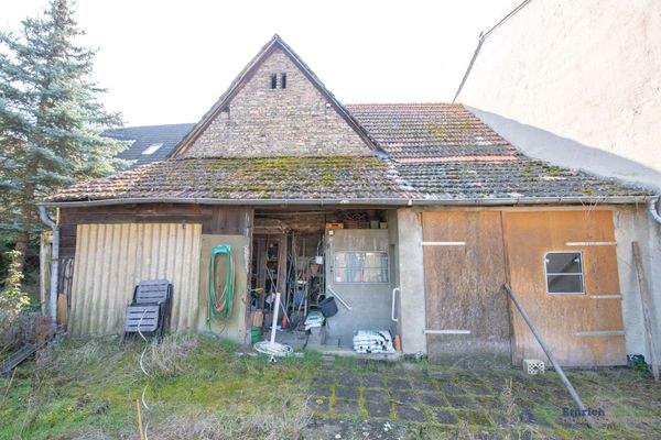 Schuppen Gartenansicht klein