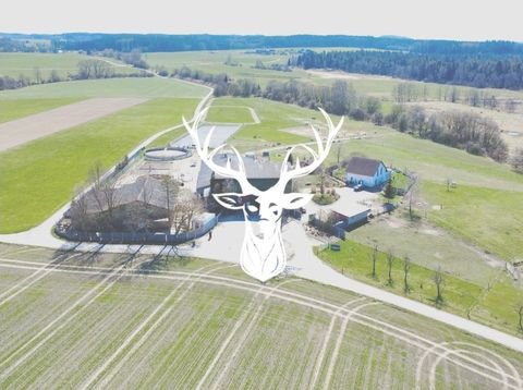 Sauldorf Bauernhöfe, Landwirtschaft, Sauldorf Forstwirtschaft