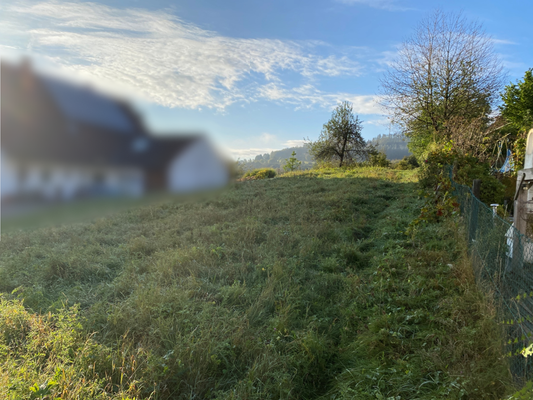 Bild 7_4924.png