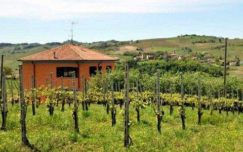 Montecalvo Versiggia Häuser, Montecalvo Versiggia Haus kaufen