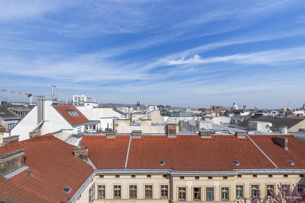 Fernblick