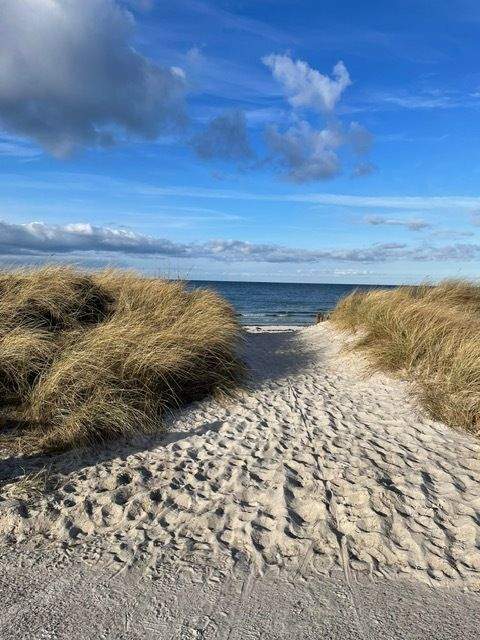 Wisch Häuser, Wisch Haus kaufen