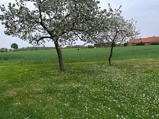 Acke- u. Gründlandflächen