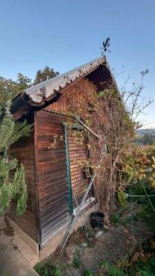 geräumiges Gartenhaus