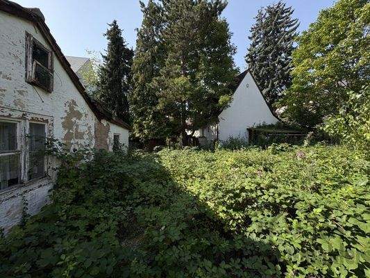 Bugrundstück Nürnberg 010