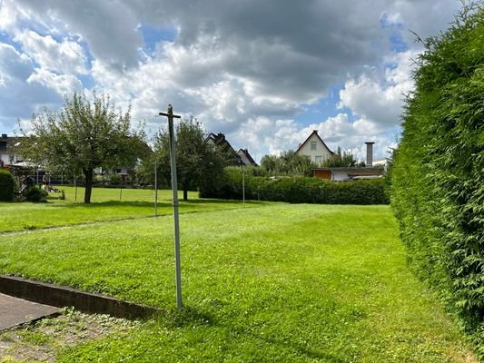 Blick in den schönen Garten