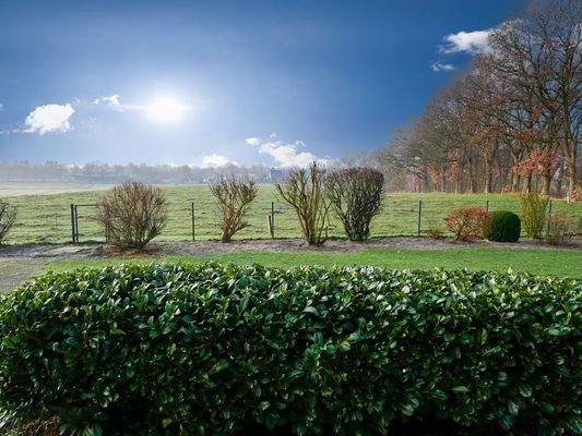 Blick aus dem Wintergarten