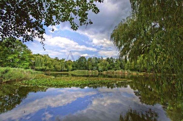 Lichtenrade Dorfteich