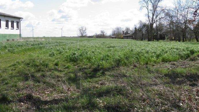 Freifläche vor dem Gebäude