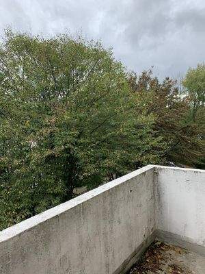 Blick vom Balkon 11.2019