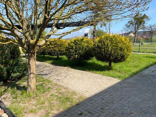 PHOTO-2025-02-14-14-38-44 (7)