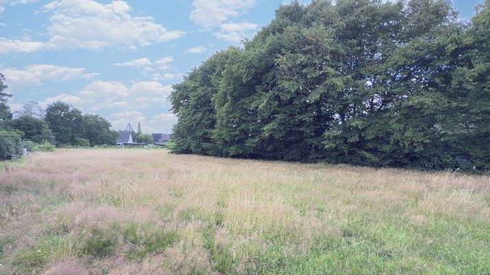 Einblicke in das Baugrundstück