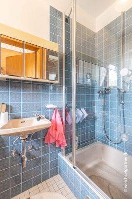 Gäste-WC mit Dusche