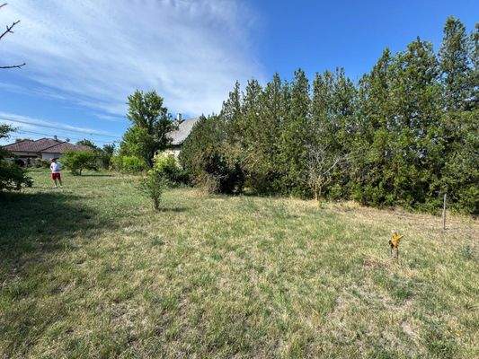 WhatsApp-kép, 2025-07-27, 20.08.03_e0fb5a16.jpg