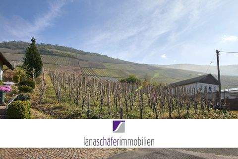 Graach an der Mosel Grundstücke, Graach an der Mosel Grundstück kaufen