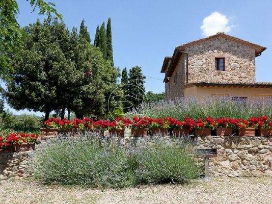 Grundbesitz | Castellina in Chianti