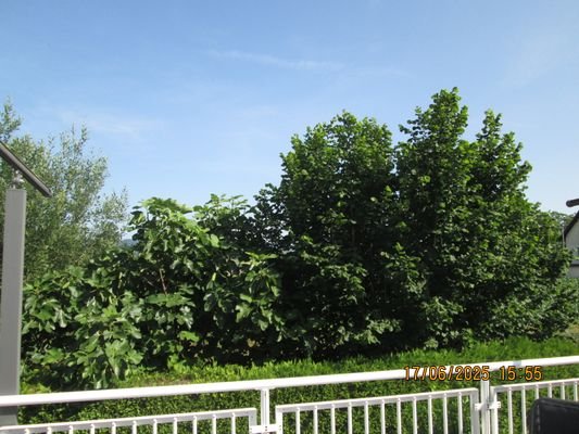 IMG_1442.JPG