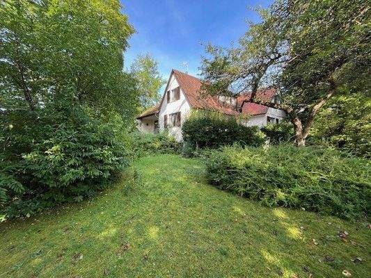 Sonnige Lage mit kleinem Altbestand