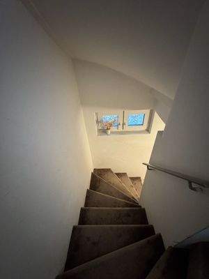 WhatsApp Image 2026-02-17 at 19.58.456.jpeg