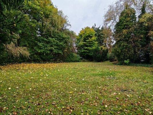 Grundstück hinten (2)