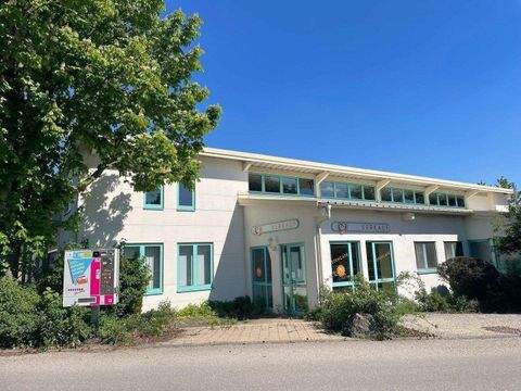 Engen Halle, Engen Hallenfläche